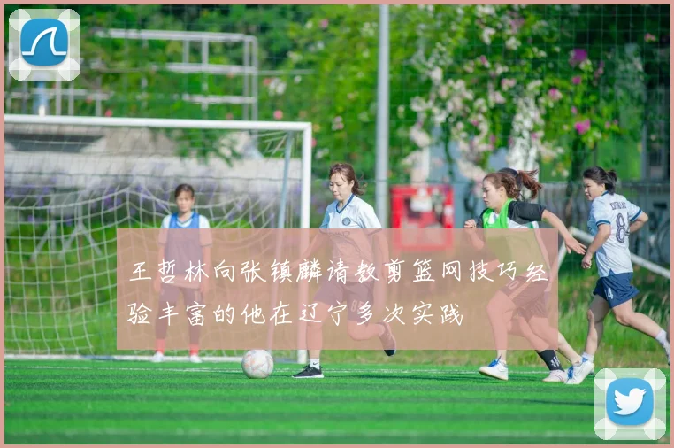 王哲林向张镇麟请教剪篮网技巧经验丰富的他在辽宁多次实践